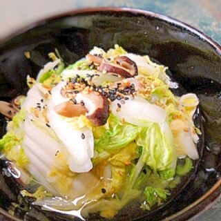 白菜と椎茸のシンプル塩煮